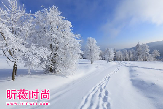 关于大雪纷飞雪的图大雪纷飞唯美图片不容错过