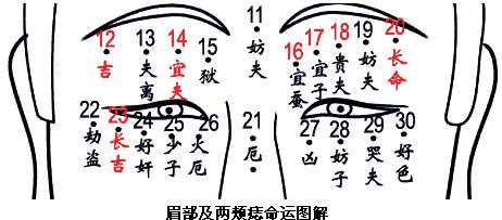 看相痣:痣的位置与命运,痣图解【组图】