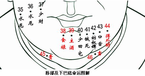 看相痣痣的位置与命运面相痣图解组图