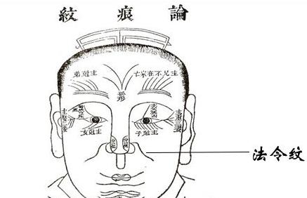法令纹面相法:从面部法令纹看你的人生吉凶
